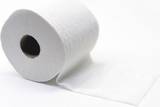 Toilet paper photo#1 by esp