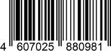 4607025880981