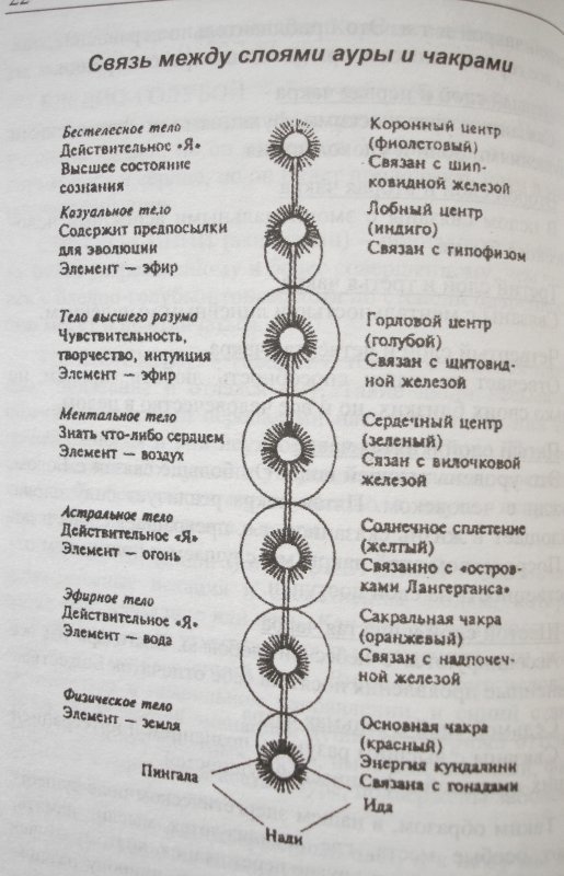 Чакры человека фото и описание для начинающих самая простая модель