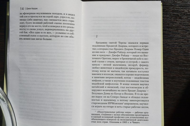 Керуак дхармы. Бродяги Дхармы Джек Керуак книга. Джек Керуак в дороге аннотация. Бродяги Дхармы Джек Керуак книга отзывы. Бродяги Дхармы о чем книга.