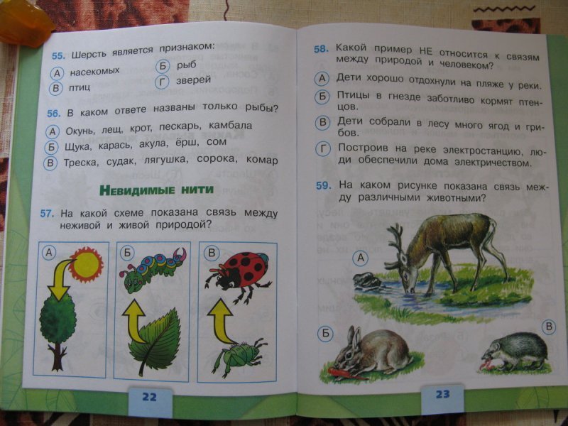 Тест по окружающему миру 3 класс животные