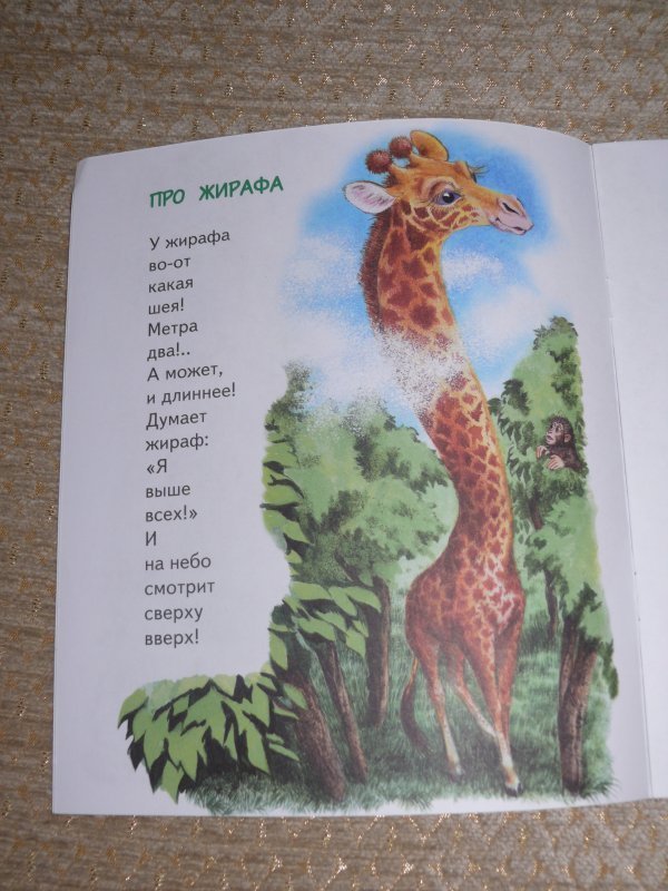 Текст стих жирафа. Стишки про жирафа. Стих про жир. Стих о жирафе. Стишок про жирафа для детей.