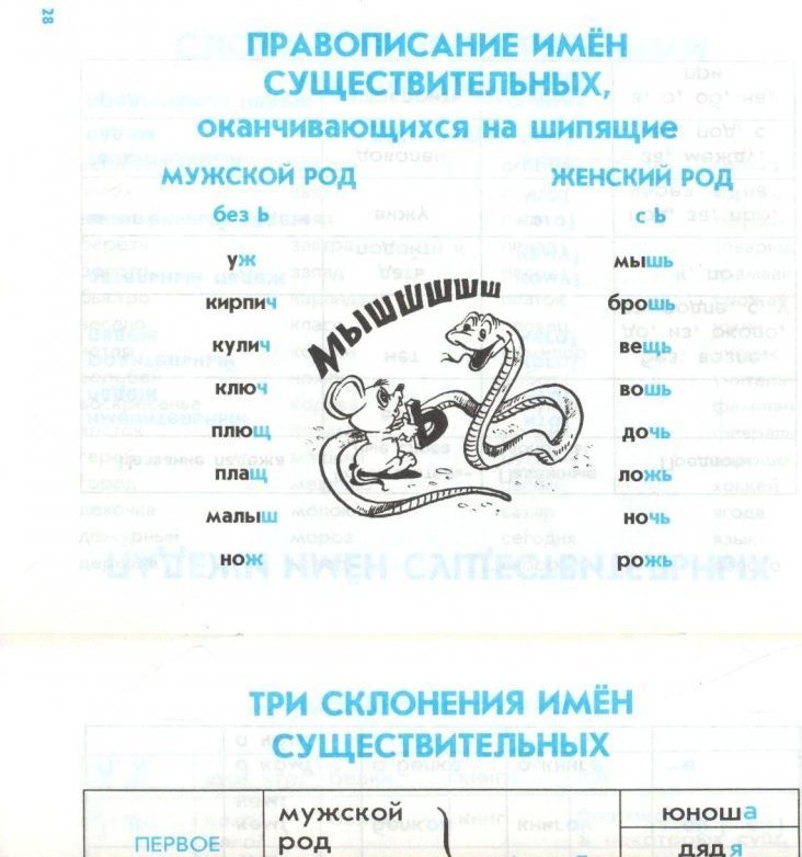 Имя 5. Слова оканчивающиеся на шипящие. Имена существительные оканчивающиеся на шипящие. Правописание существительных оканчивающихся на шипящий. Слава оканчивающиеся на шипящие.