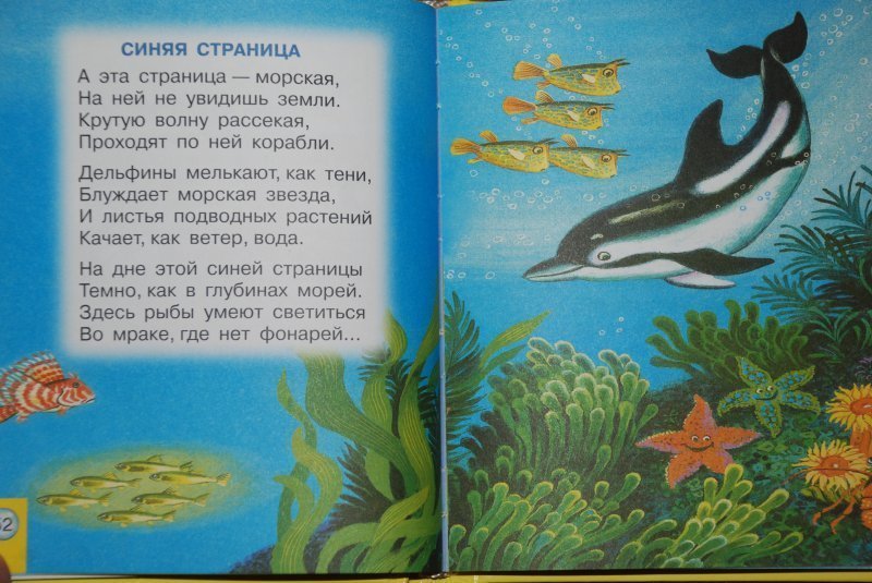 Книга синие страницы