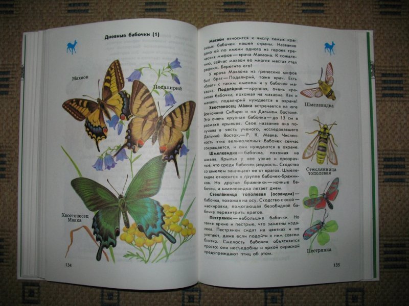 Рассказ первые бабочки 2 класс окружающий