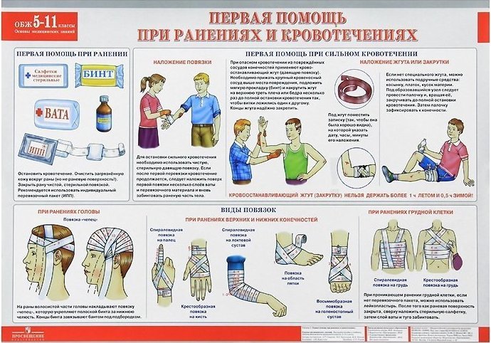 Презентация на тему основы медицинских знаний