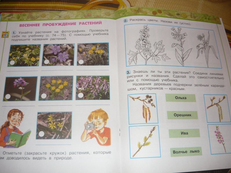 Тест весеннее пробуждение растений 2 класс