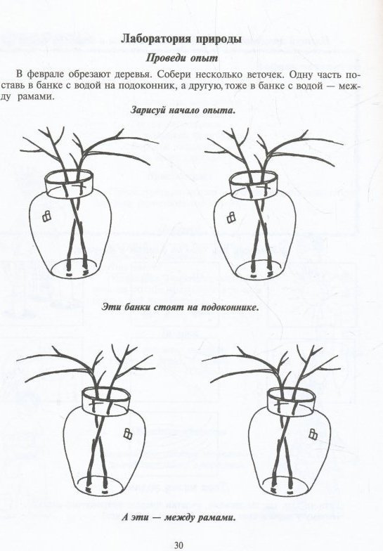 Рассматривание ветки дерева лабораторная работа. Опыт с веточками наблюдения. Схема опыта с веточками. Дневник наблюдений за веточками деревьев. Опыты с веточкой в средней группе.