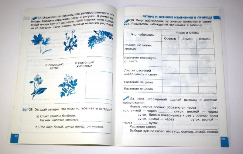 Другие наблюдения в природе осенью окружающий мир