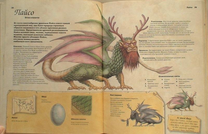 Как воспитать дракона. Джон Топселл "как вырастить и воспитать дракона". Как вырастить и воспитать дракона книга. Книга дракона. Книга с драконом на обложке.