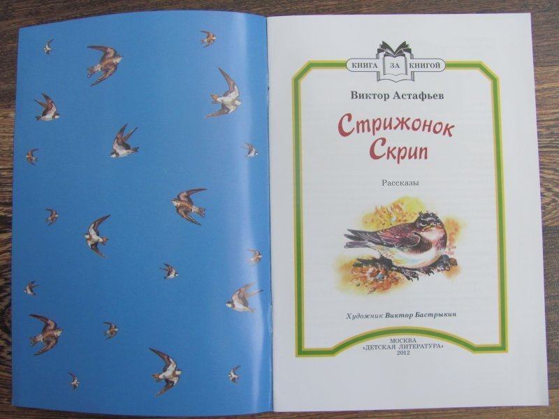 Стрижонок скрип от лица скрипа. Астафьев в. "Стрижонок скрип". Рассказы Виктора Астафьева Стрижонок скрип. Стрижонок скрип Астафьев книга.