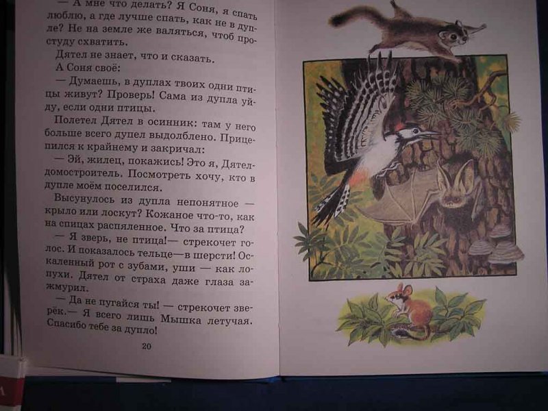 Не говори мне хватит. Сказка Николай Сладкова «осень на пороге». Сказка осень на пороге н.Сладкова. Рассказ осень на пороге н.Сладкова. Сказка: Николай Сладков 