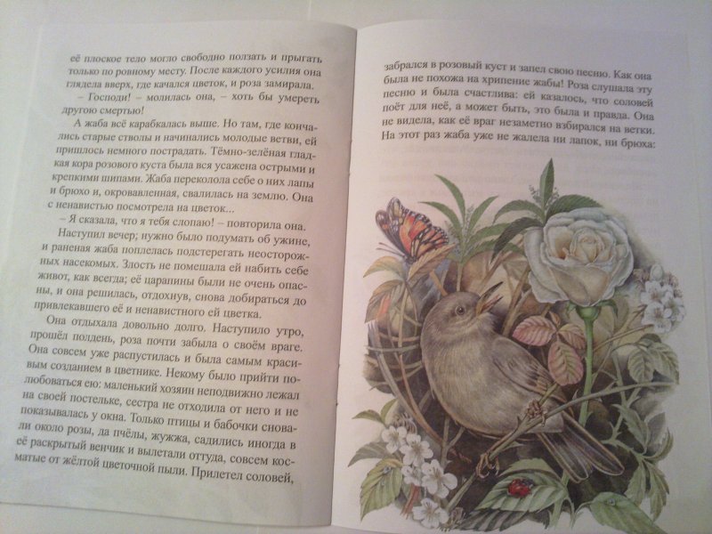 Розочка читать. В М Гаршин сказка о жабе и Розе. Сказка о жабе и Розе текст.