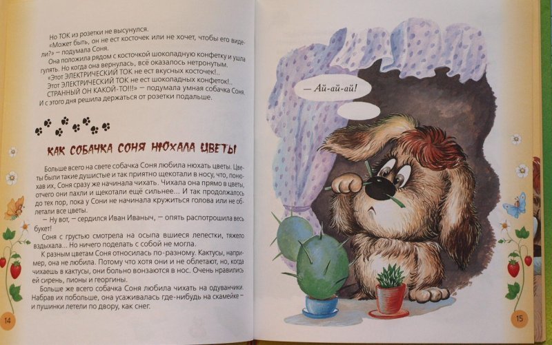 Книга про соню