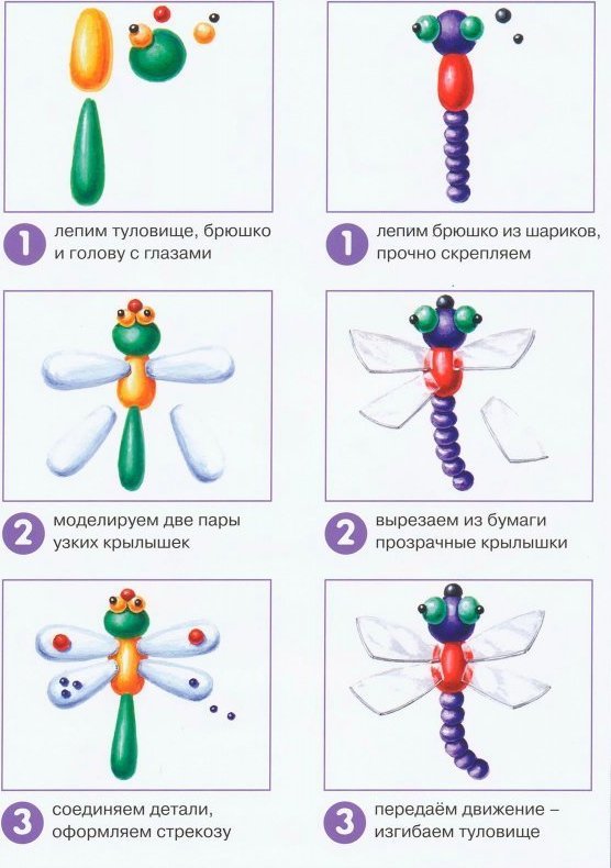 Пошаговая инструкция для детей. Схемы лепки насекомых. Лепим из пластилина с детьми пошагово насекомых. Лепка насекомые старшая группа пошагово. Лепка из пластилина насекомые подготовительная группа.