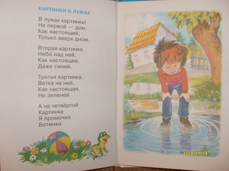 Книга картинки в лужах валентин берестов