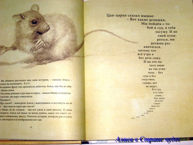 Секреты серой мыши читать