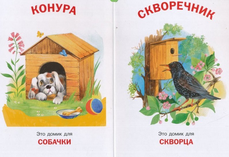 Где живет собака. Рисование кто в каком домике живет. Ктов каком доике живет. Чей это домик?. У кого какой домик?.