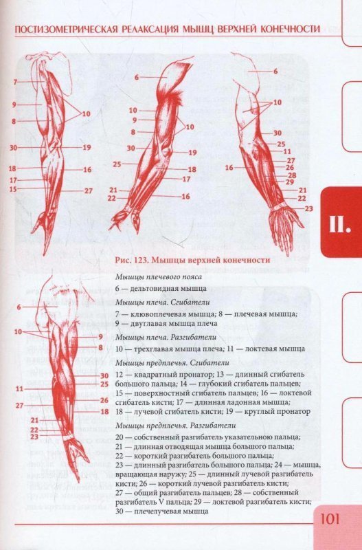 Глубокие мышцы расслабление. Постизометрическая релаксаци. Постэзометрическая релаксация. Пост изометническая релаксация. Постизометрическая релаксация мышц книга.