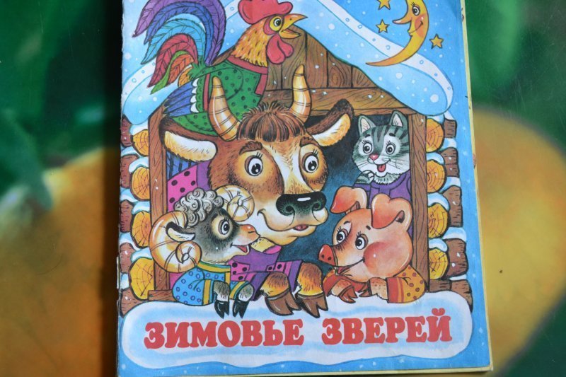 Иллюстрация зимовье зверей. Зимовье зверей иллюстрации к сказке. Афанасьев а.н. 