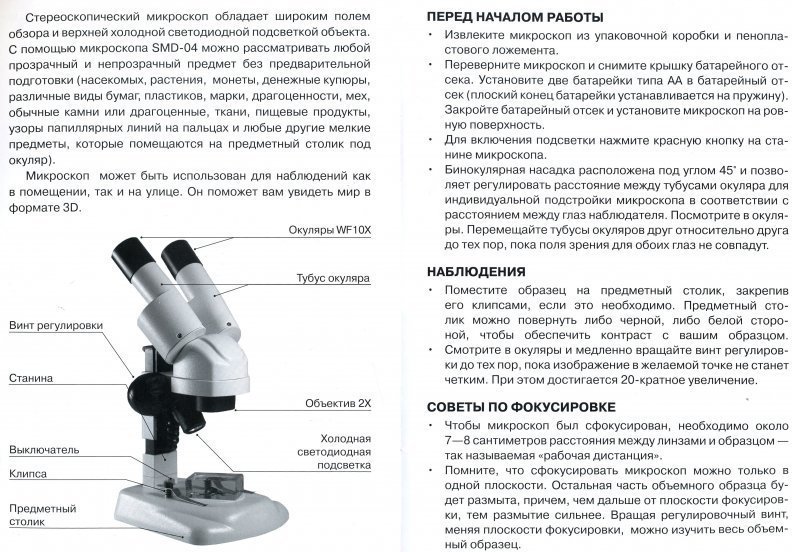 Поле микроскопа. Схема микроскоп бинокулярный стереоскопический. Функция регулировочного винта в микроскопе. Регулировочный винт микроскопа. Микроскоп SMD-04.