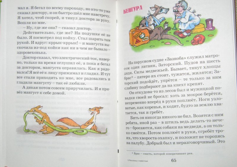 Рассказы для 3 класса внеклассное чтение. Рассказы о животных 3 класс Внеклассное. Рассказы о животных 2 класс Внеклассное чтение. Рассказы о животных для детей 3 класс Внеклассное чтение. Рассказы о животных 3 класс Внеклассное чтение.