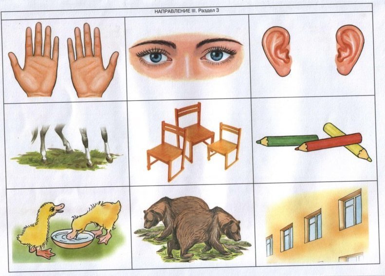 Картинки для диагностики младшая группа