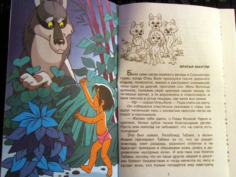 Произведение братья маугли. Маугли 1 глава братья Маугли. Маугли иллюстрации к книге. Маугли отрывок из книги. Братья Маугли книга.