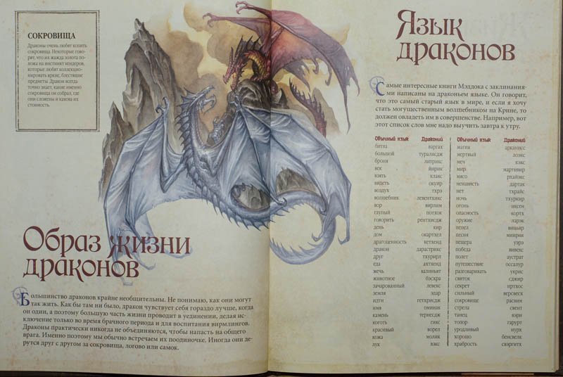 Dragon перевод