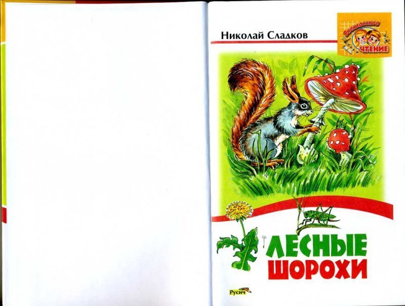 Химия 9 сладков. Лесные шорохи Лесные шорохи Сладков. Николай Сладков «Белкин мухомор». Н Сладков Лесные шорохи. Сладков Лесные шорохи книга.