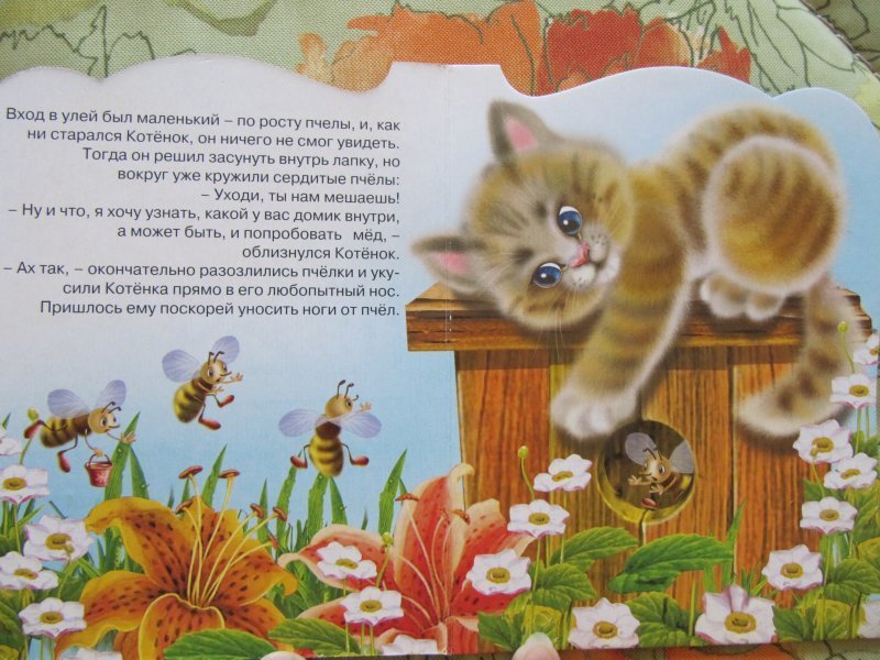 Котик сказка читать. Детская книжка про котенка. Детская книжка про кошечек. Сказка про котят для детей. Книги про котят для детей.