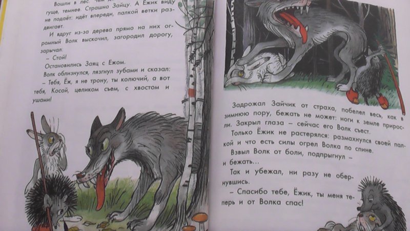 Сутеев как зима кончилась. Сказка Ежик и волк. Волк и заяц читать. Рассказ еж и волк. Книга Ёжик и волк.