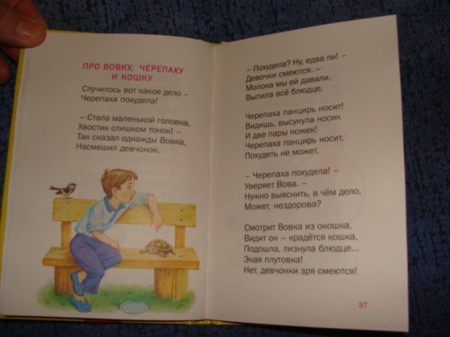 Про вовку черепаху и кошку. Стихотворение про Вовку Агнии Барто. Стих про Вовку. Стихотворение а Барто про Вовку черепаху и кошку.