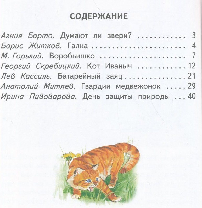 Кот иваныч картинки