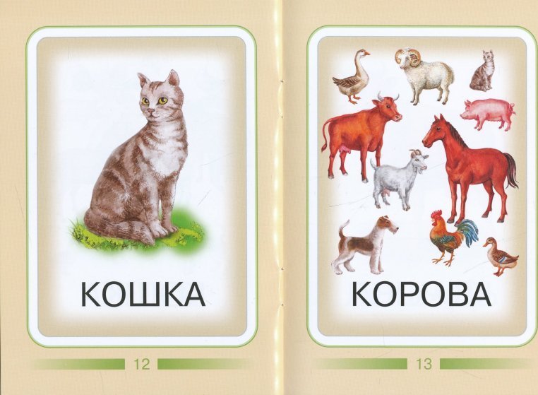Животные обучающие для детей. Карточки "домашние животные". Карточки домашние животные для малышей. Домашние животныеарточки. Карточки с домашними животными для детей.