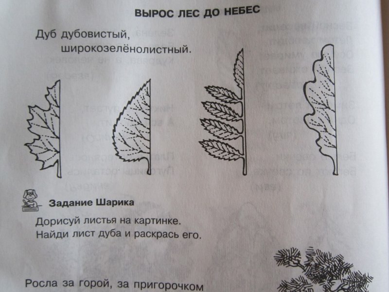 На рисунке изображена треть всех елочек растущих. Дорисуй листья деревьев. Дорисуй лист. Дорисуй листочки на дереве. Дорисуй листочек.