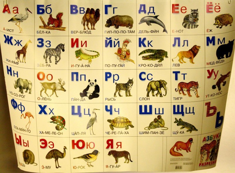 Назови животное на б. Животные на букву а. Азбука с животными. Названия животных по алфавиту. Животные на бдукеуву и.