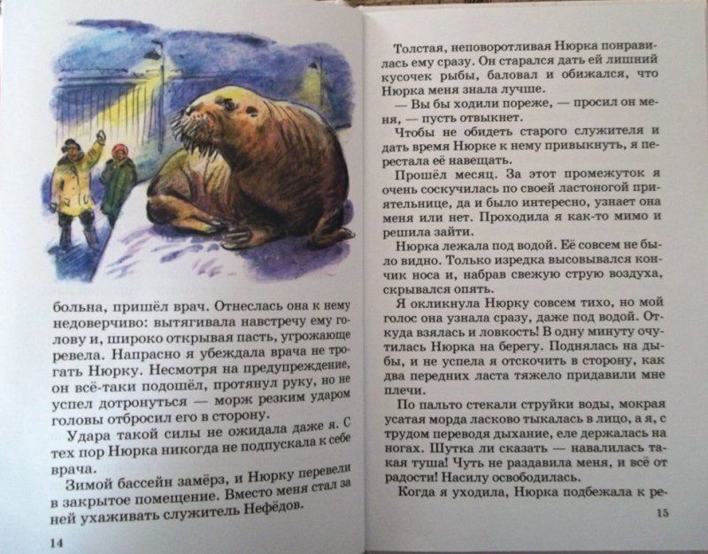 Рассказ ч. Рассказ Нюрка Чаплина. Сетон-Томпсон рассказы о природе. Рассказ о животных 3 класс. 365 Рассказов о животных.