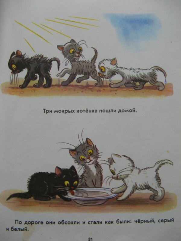 Котенок том читать. Сказки Сутеева три котенка. Картинки к сказке Сутеева три котенка.