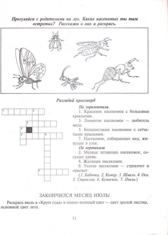 Кроссворд насекомые