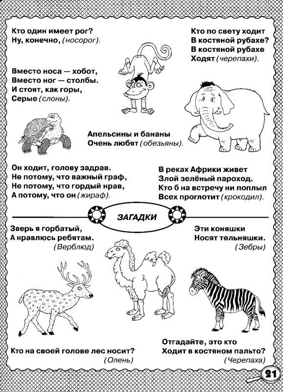 Занятие по развитию речи животные жарких стран