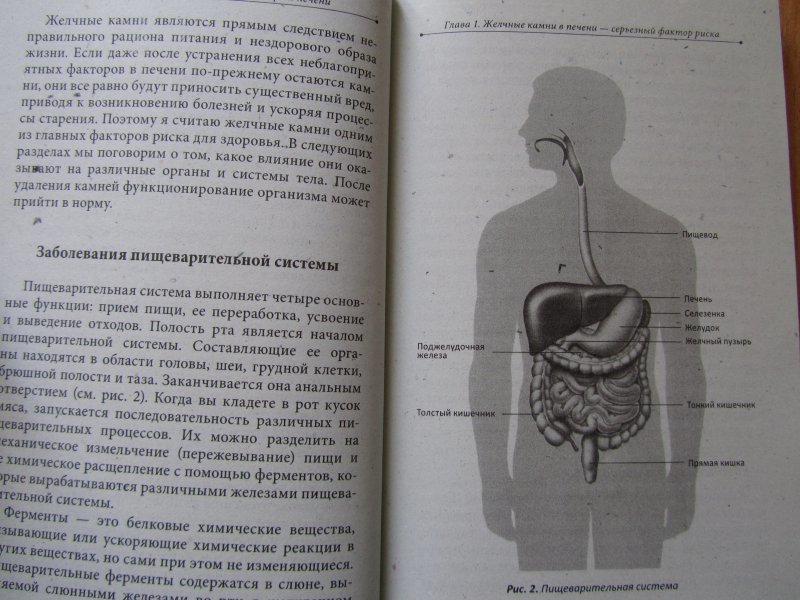 Психосоматика камни. Психосоматика желчный пузырь. Психосоматика болезней желчного пузыря. Психосоматика печень и желчный пузырь. Психосоматика желчный пузырь Перегиб.