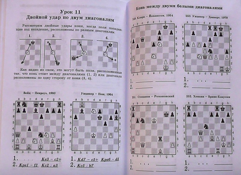 Мат в 2 хода в шахматах задачи