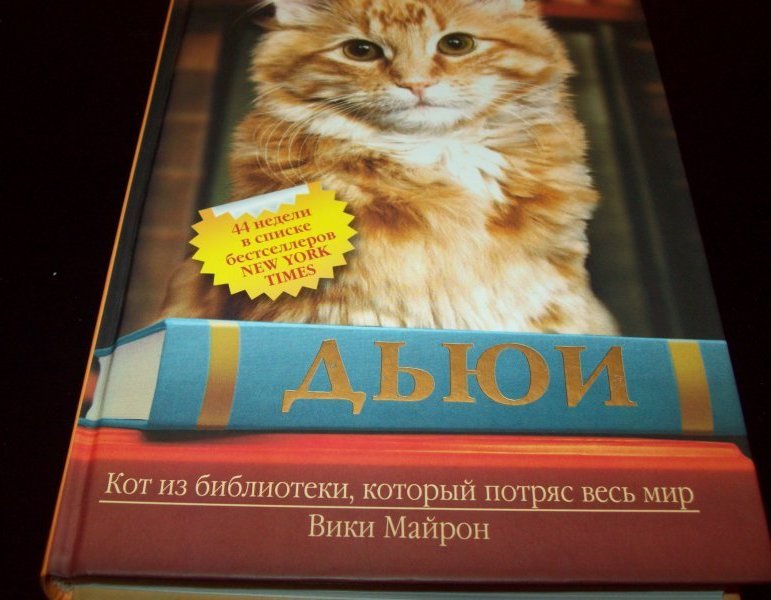 Тори майрон не пара читать полностью. Кот Дьюи из библиотеки. Вики Майрон Дьюи кот из библиотеки который потряс весь мир. Книга про кота Дьюи. Вики Майрон Дьюи.