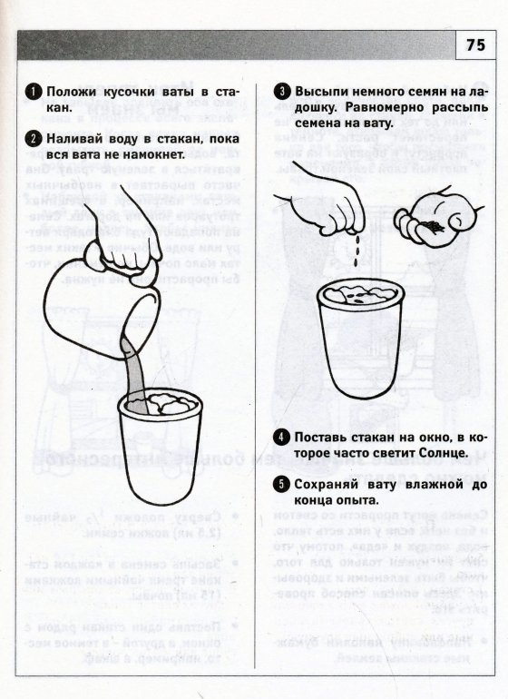 Схемы опытов и экспериментов