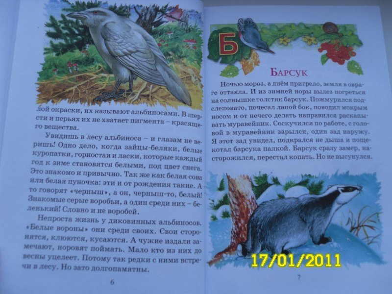 Сладков телеграмм канал. Н Сладков Азбука леса. Николай Сладков Азбука леса. Сладков Лесная Азбука. Книга Сладкова Азбука леса.