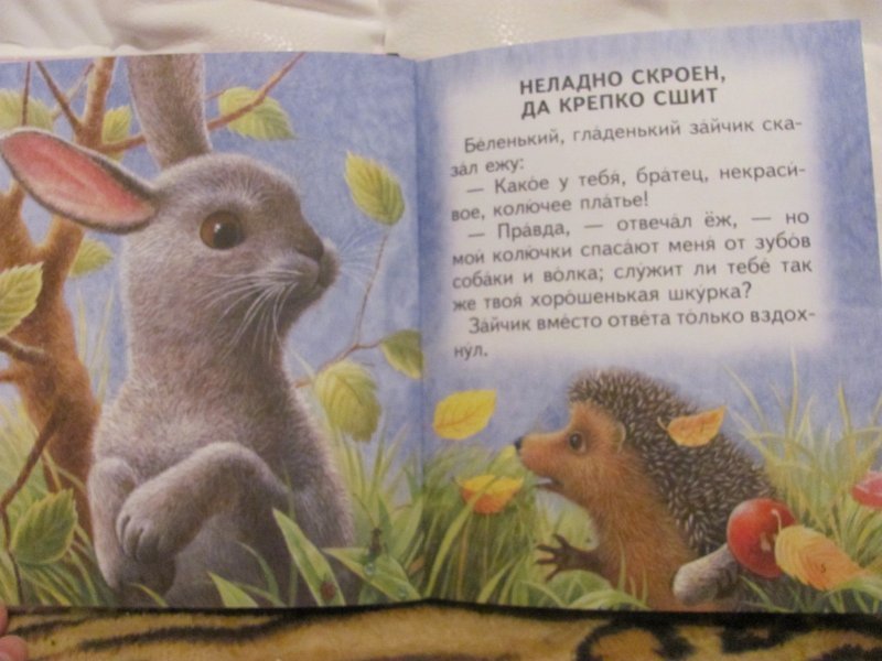 Короткие сказки о животных. Маленькие рассказы для детей. Короткие сказки. Короткие рассказы для детей. Короткие сказки для детей.