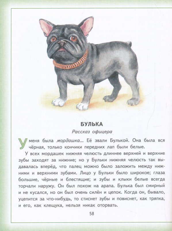 Книга толстого булька. Лев Николаевич толстой рассказ Булька. Сказка Булька толстой. Иллюстрации Лев Николаевич толстой Булька. Произведение Льва Николаевича Толстого Булька.