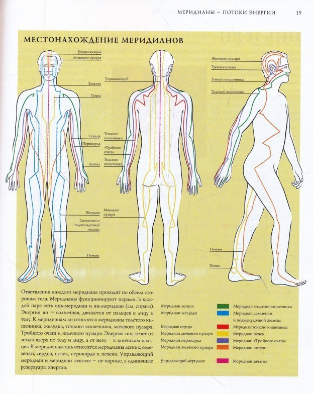 Энергетические каналы и меридианы человека схема и направления