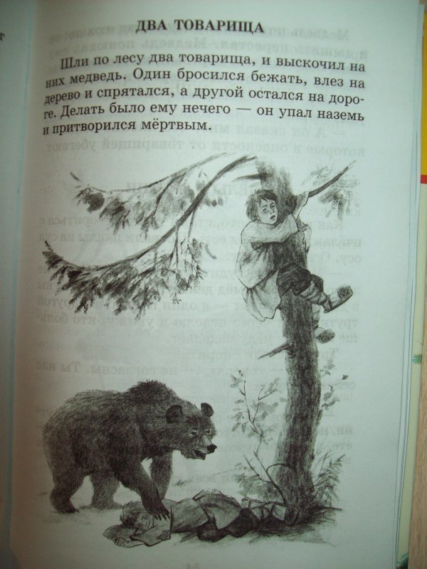 Два товарища толстой краткое содержание. Басня два товарища толстой. Иллюстрация к басне два товарища. Книга два товарища. Три товарища басня толстой.